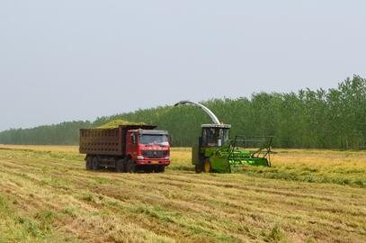 Silage Harvester forage harvester 