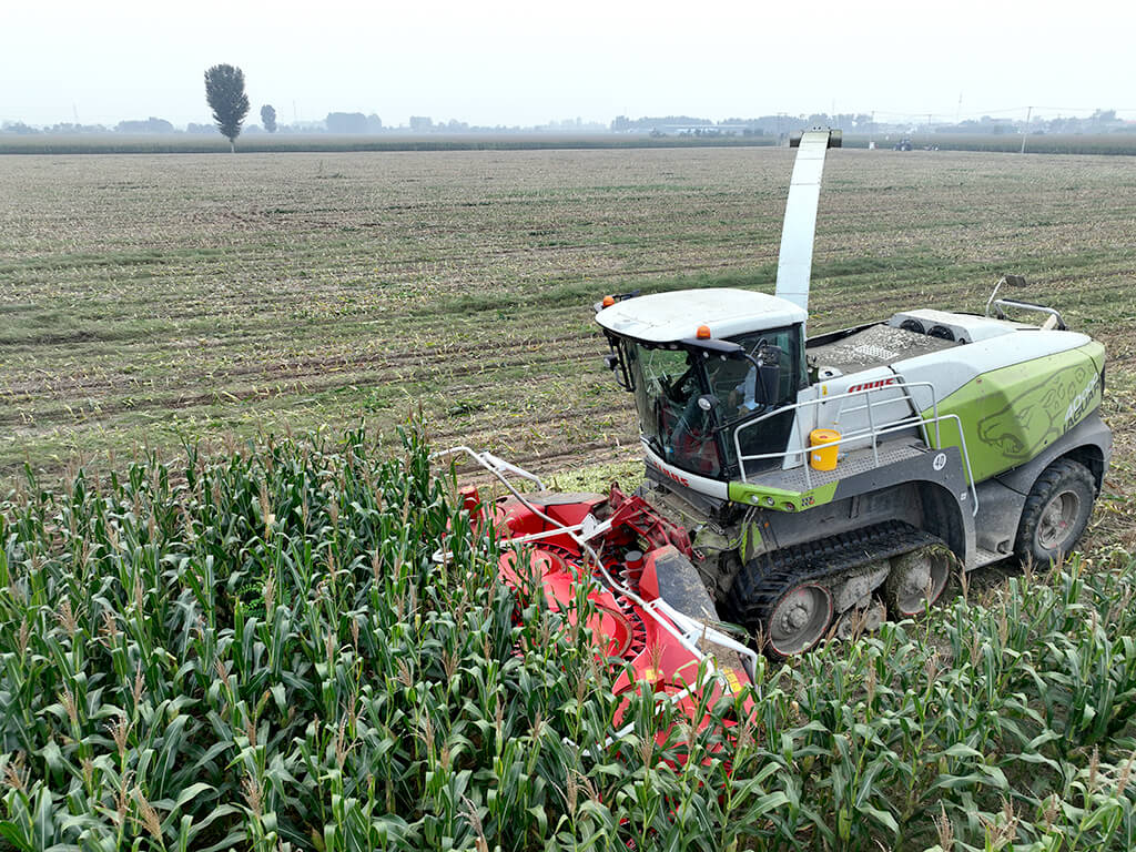 LS-M4600 Supporting Claas Operation
