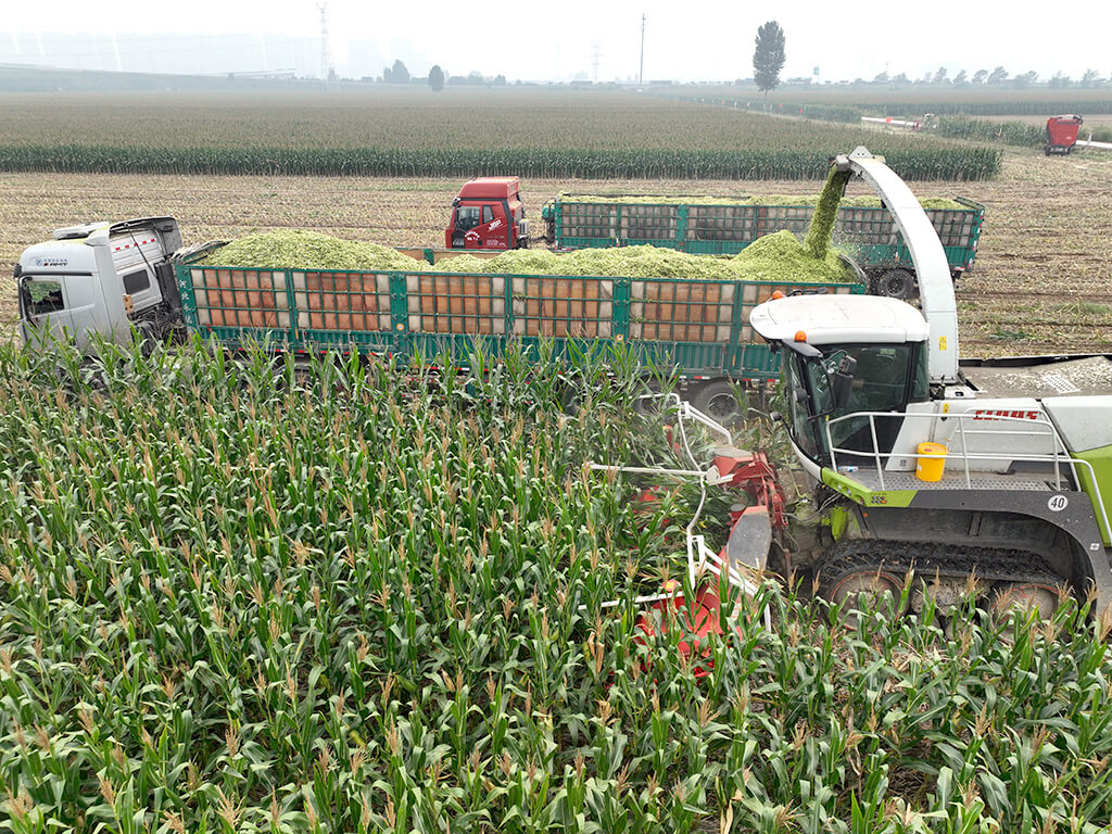 LS-M4600 Supporting Claas Operation