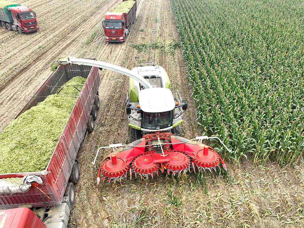 LS-M4600 Supporting Claas Operation