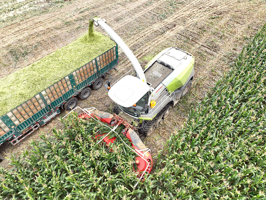 LS-M4600 Supporting Claas Operation
