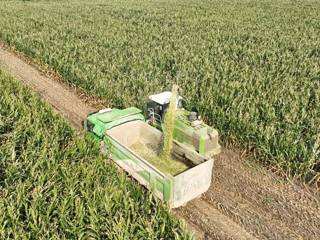 9QS-3600 Operation